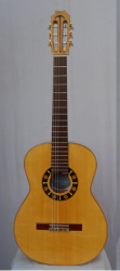 Rebrasti javor 2